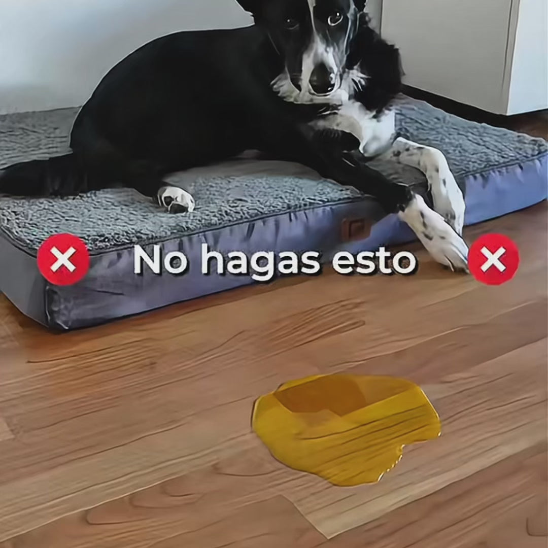 PIPI DRY